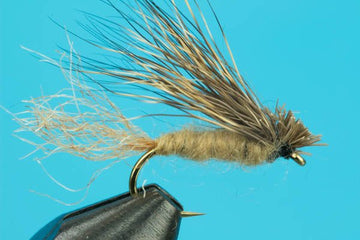 X Caddis - Hazy Fly Fishing