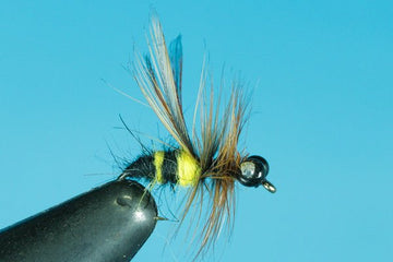 Yellow Jacket - Hazy Fly Fishing