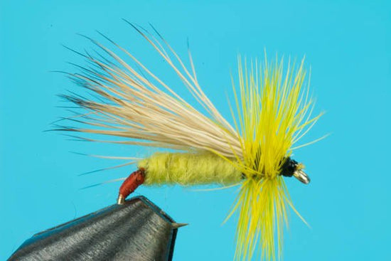 Yellow Sally - Hazy Fly Fishing