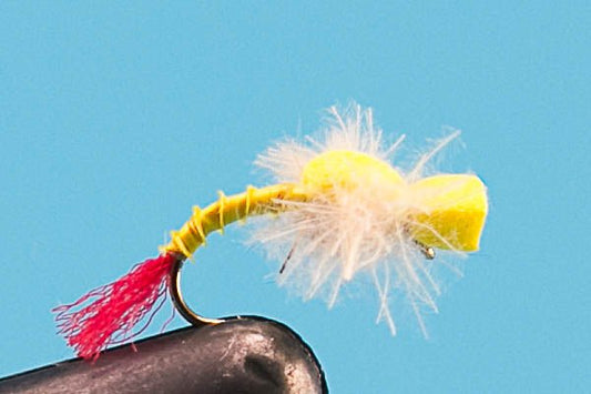 Yellow Sally Emerger - Hazy Fly Fishing