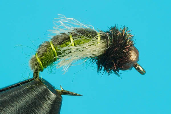 Z - Wing Caddis - Beadhead - Hazy Fly Fishing
