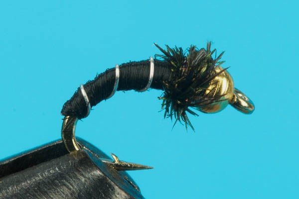 Zebra Midge Curved - Beadhead - Hazy Fly Fishing
