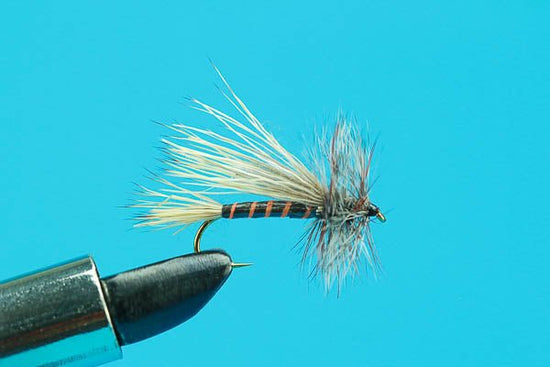 ZZ Top - Hazy Fly Fishing