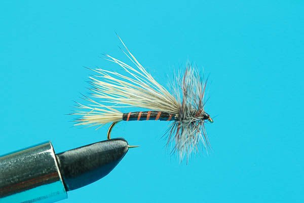 ZZ Top - Hazy Fly Fishing